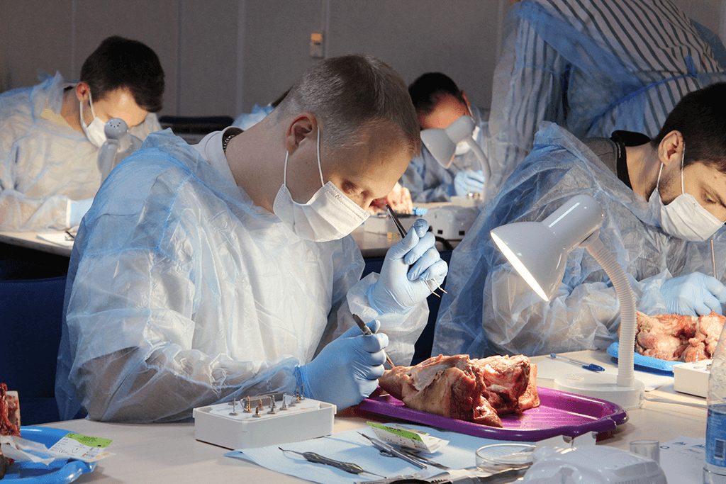 Фотоотчёт с курса Работа с имплантатами концепции Tissue Level. Безграничные возможности на каждый день. Фото № 3
